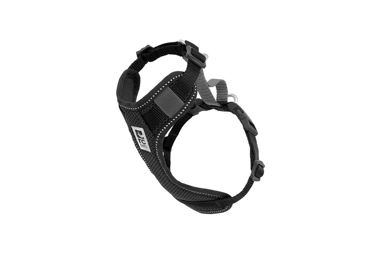 RC Pets - Harnais de voiture Moto pour chiens, Couleur: Noir, Taille: XS