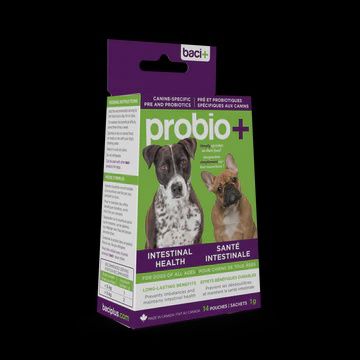 Baci+ Probiotique pour chien, Format: 14g