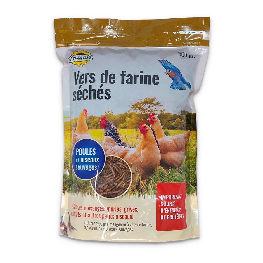 Picardie - Vers de farine / 500g