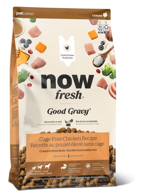 Now Fresh Good Gravy - Nourriture chien adulte / Poulet &amp; Grains anciens, 22 lb
