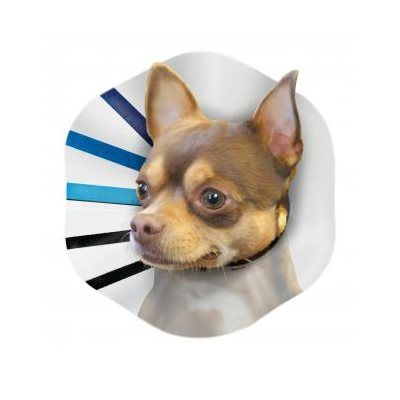 Kong EZ-Clear - Collier élisabéthain pour chien, Taille: Petit