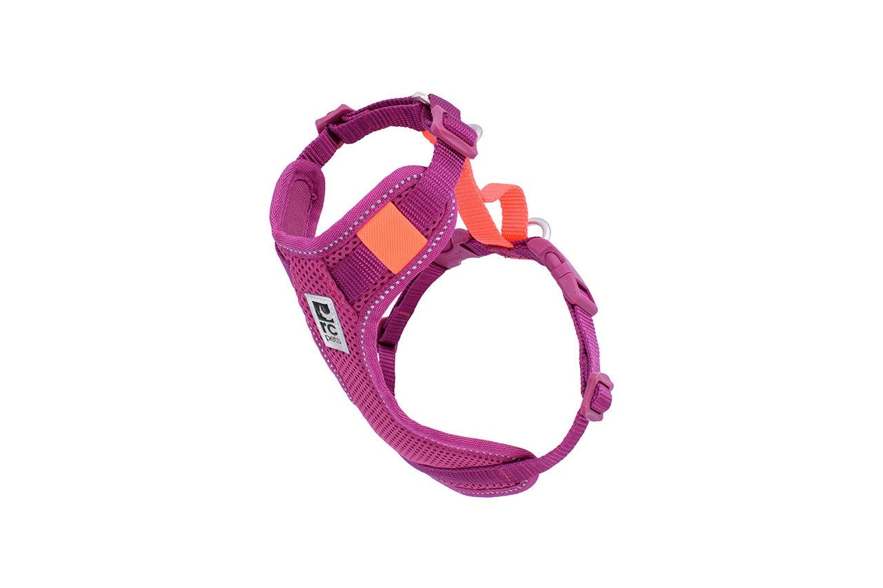 RC Pets - Harnais de voiture Moto pour chiens / Mûre &amp; Corail, Taille: Très petit