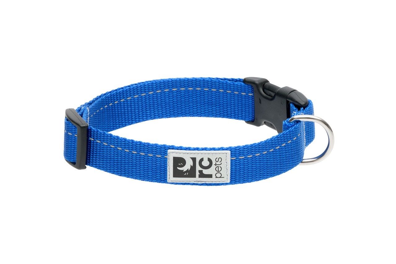 RC Pets - Collier Primary de base pour chien / Saphir, Taille: Petit (3/4 po)