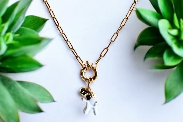 Collier 'Câlins canins'