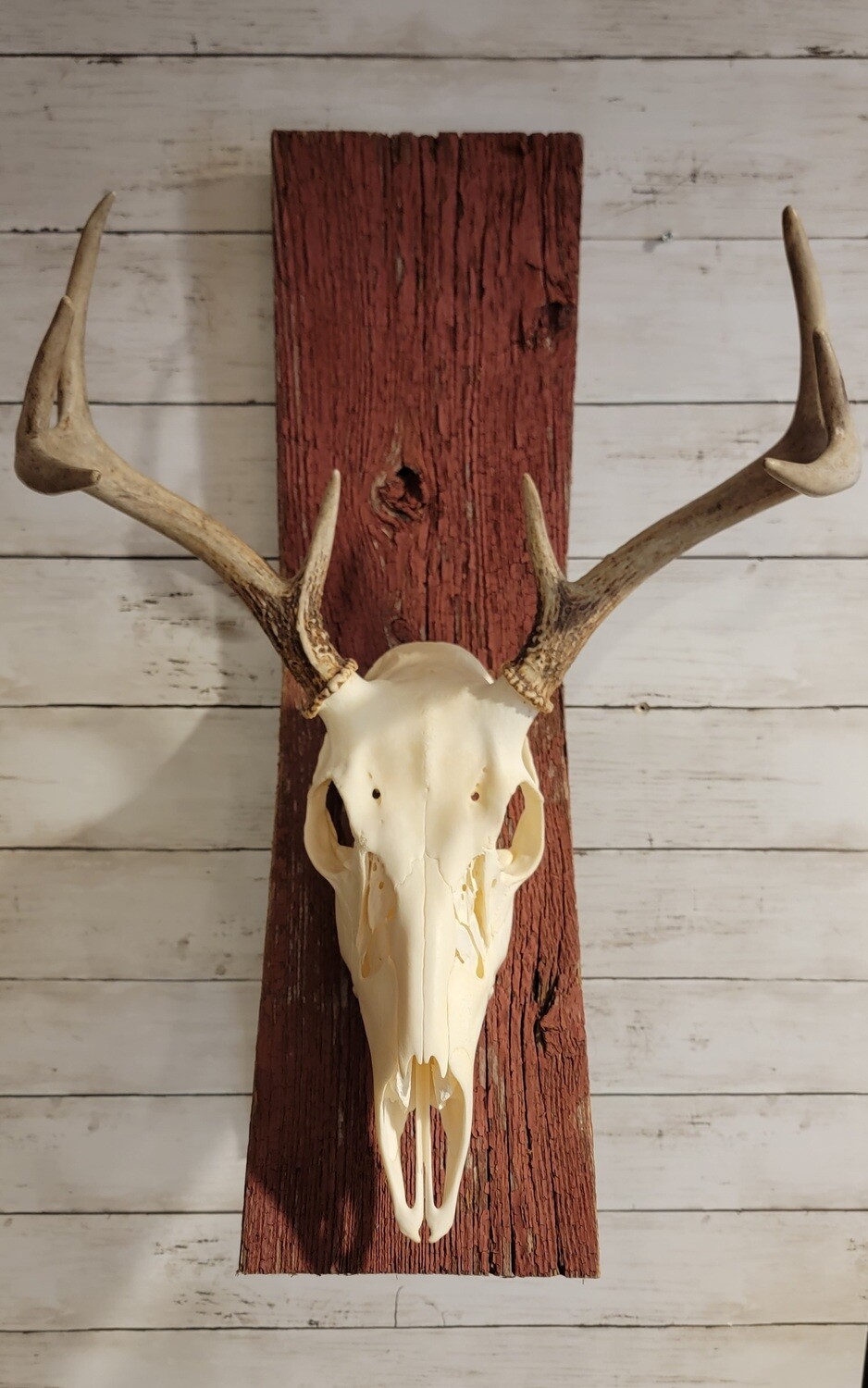 Barnwood Euro mount
