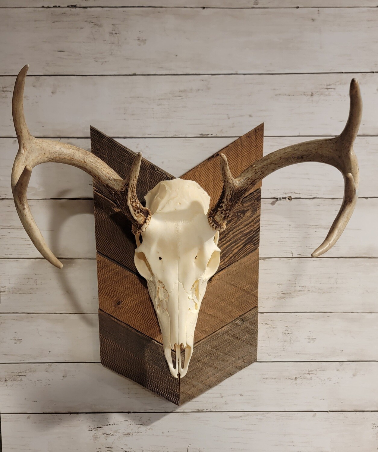 Chevron arrow Euro mount