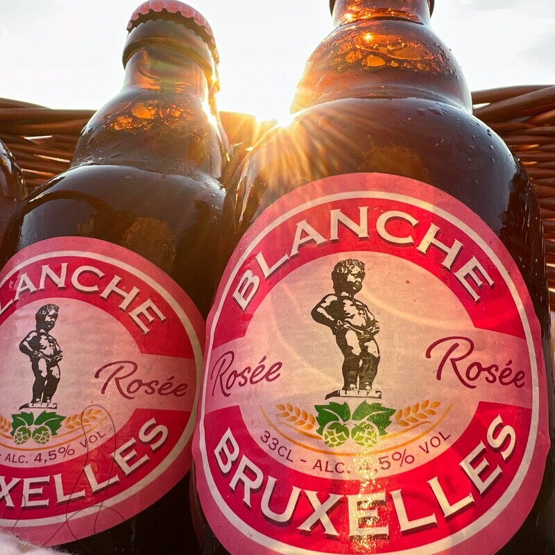 Blanche de Bruxelles Rosée