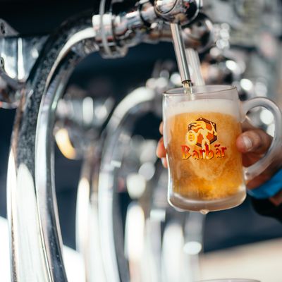 Verre Barbãr Verre Barbãr