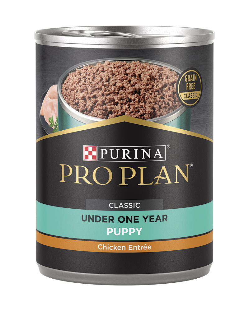 Pro Plan Development Puppy Chicken &amp; Rice Entrée Classic Wet Dog Food 13oz