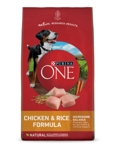 Purina ONE® SmartBlend® Chicken &amp; Rice Formula Natural Adult Dog Food