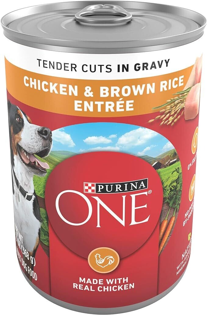 Purina ONE Chicken &amp; Brown Rice Entrée Tender Cuts in Gravy Wet Dog Food 13oz