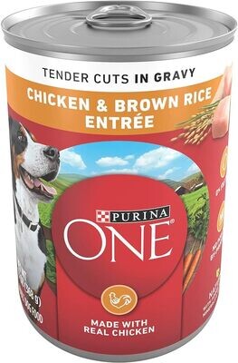 Purina ONE Chicken &amp; Brown Rice Entrée Tender Cuts in Gravy Wet Dog Food 13oz
