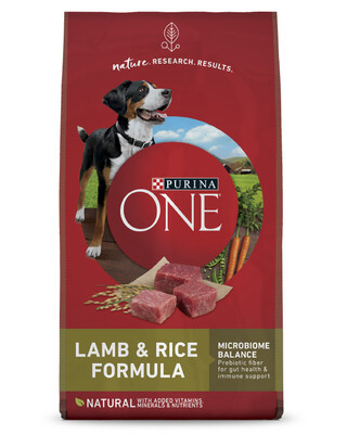 Purina ONE® SmartBlend® Lamb &amp; Rice Formula Natural Adult Dog Food