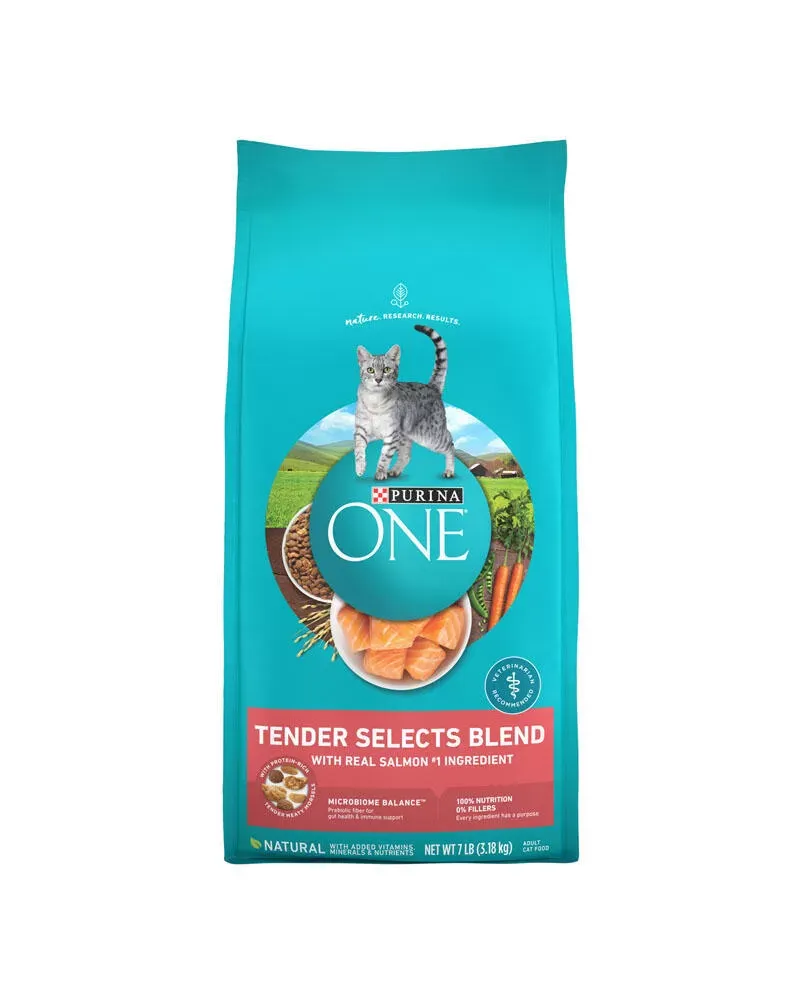 Purina ONE Tender Selects Blend Salmon Dry Cat Food 7lb
