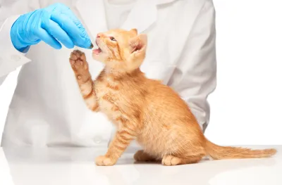 Veterinary Diets