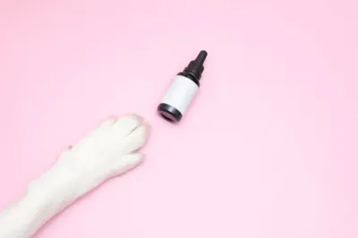 Dietary Supplements