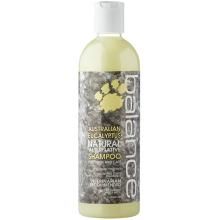 Australian Eucalyptus Pet Shampoo