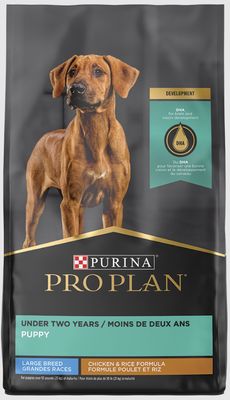 Pro Plan Puppy Large Breed Chicken &amp; Rice Formula