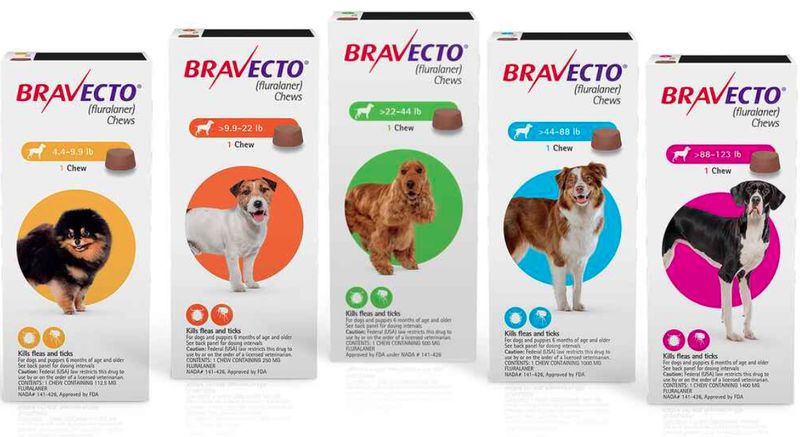 Bravecto Chews For Dogs