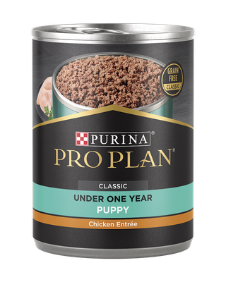 Pro Plan Development Puppy Chicken &amp; Rice Entrée Classic Wet Dog Food 13oz