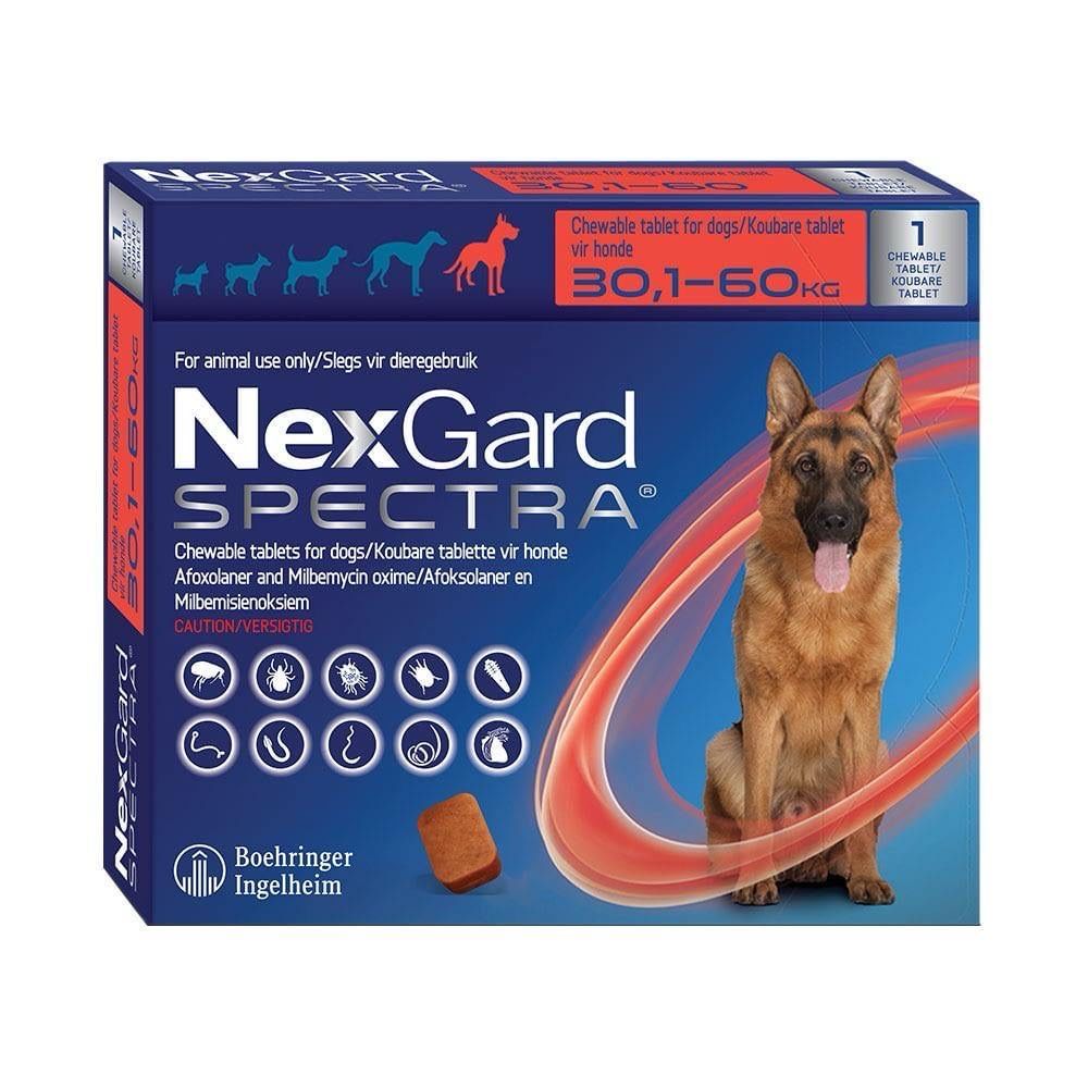Nexgard Spectra (1 Chew) 30.1-60.0kg