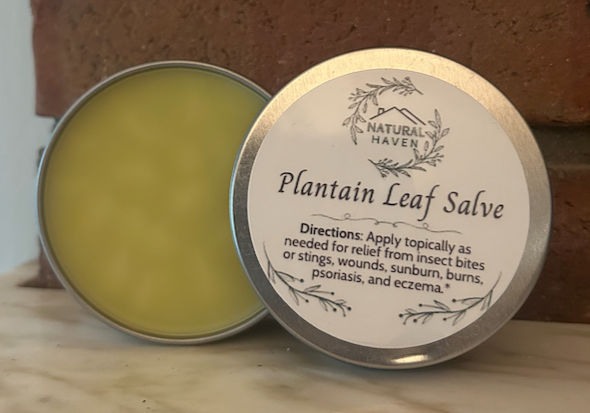 Plantain Leaf Salve
