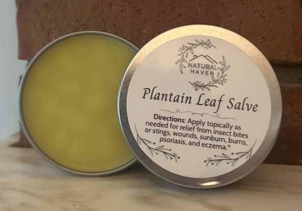 Plantain Leaf Salve