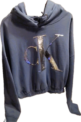 CALVIN KLEIN Metallic Hoodie
