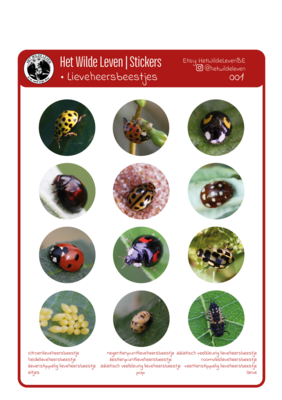 Stickers: lieveheersbeestjes 1