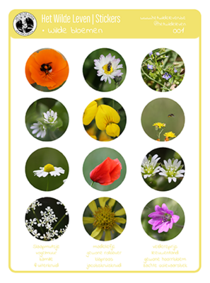Stickers: Wilde bloemen 1
