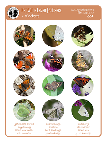 Stickers: Vlinders 1