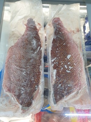 XL Red Snapper Fillets