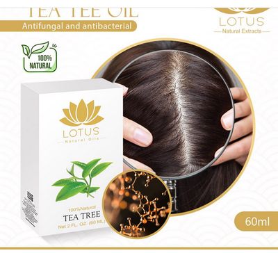 Lotus Teebaumöl 60 ml