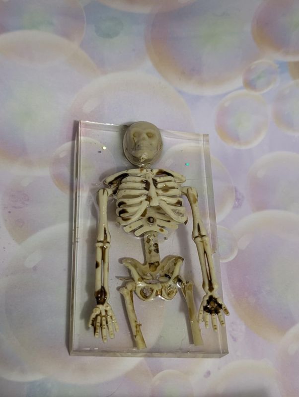 Skeleton Bones