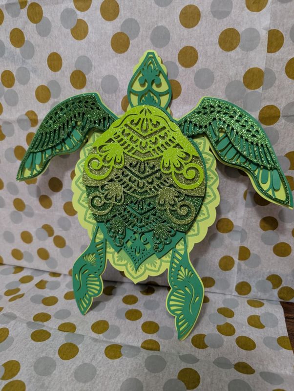3D Turtle