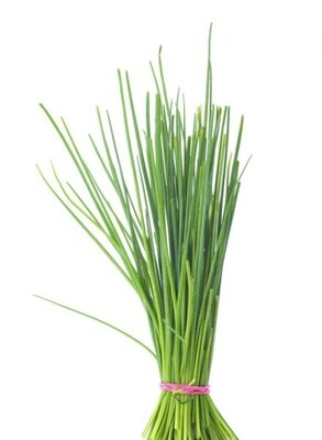 CHIVES BUNCH