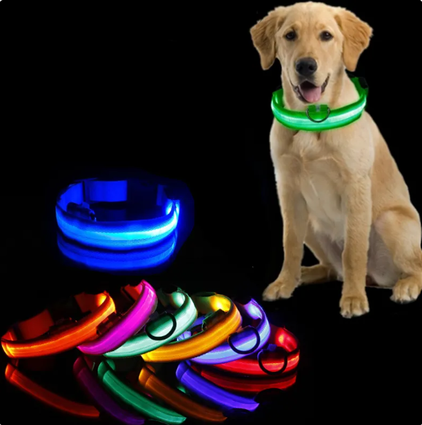 LED Glowing Dog Collar,  Adjustable Rechargeable and Luminous