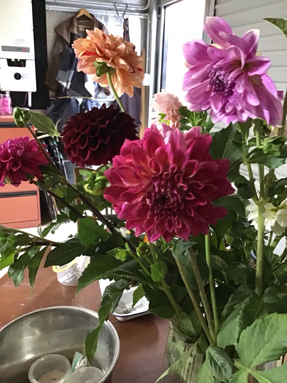 Heritage Magenta- small