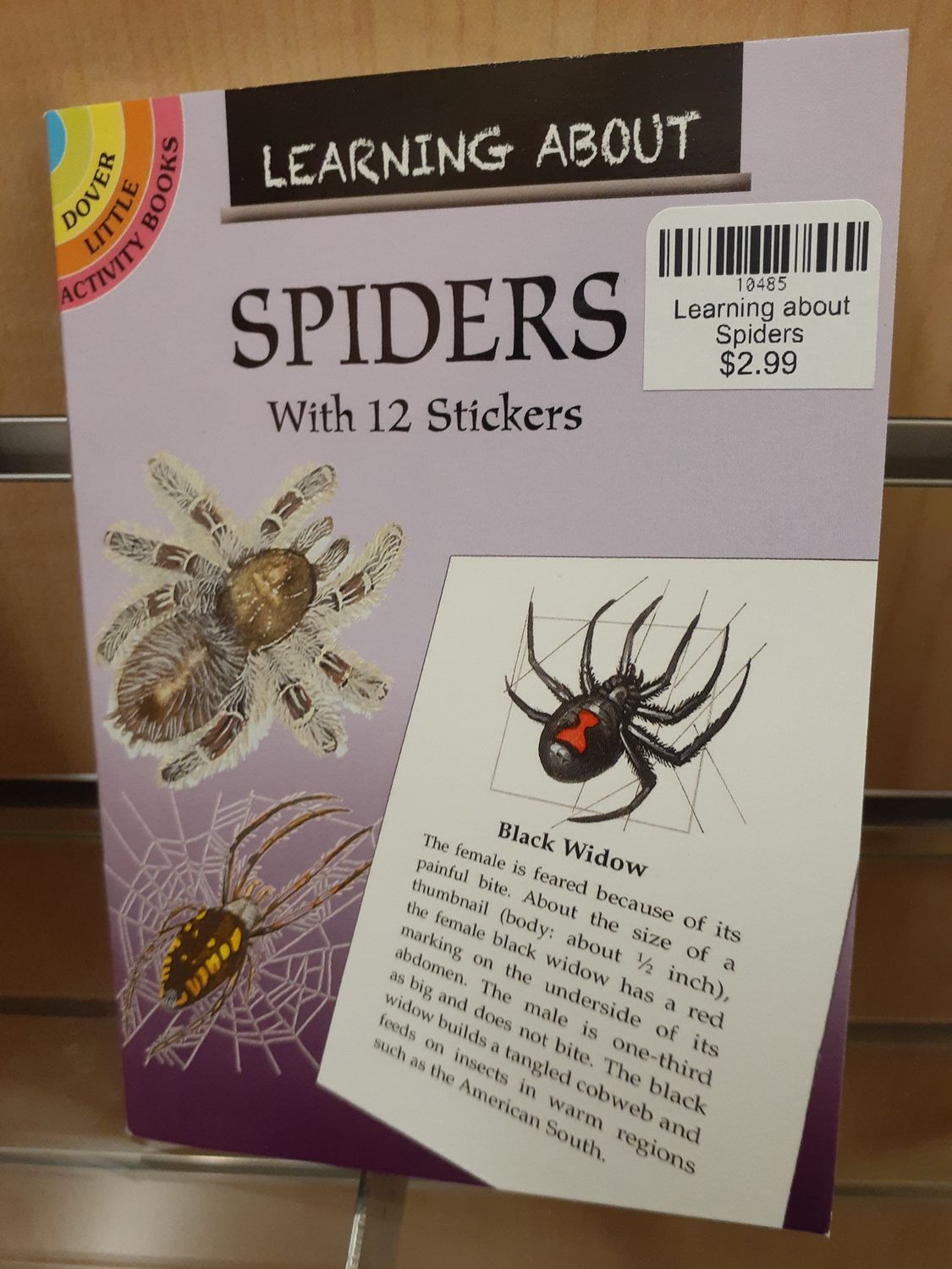 Learning about Spiders