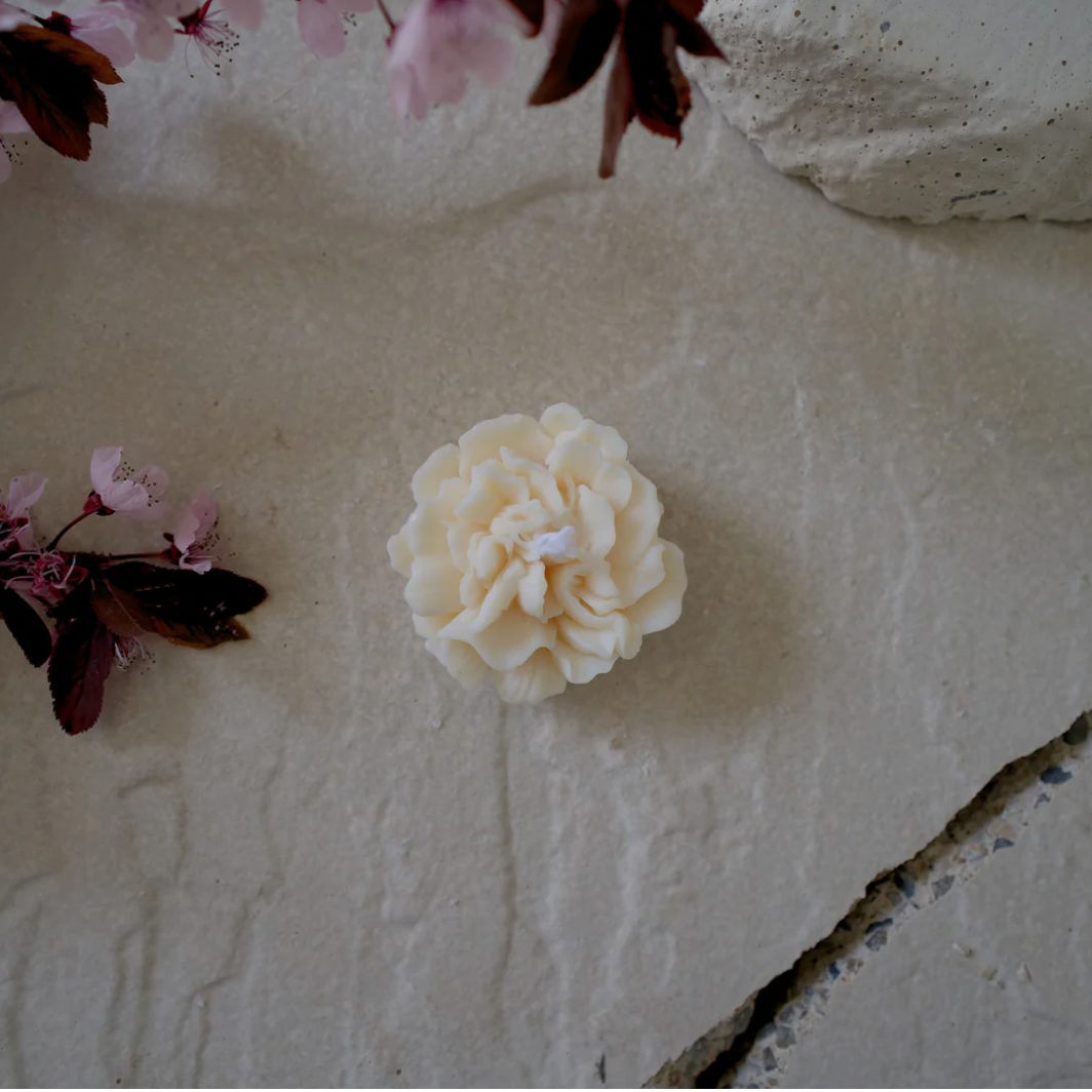 Bougie Baby Bloom