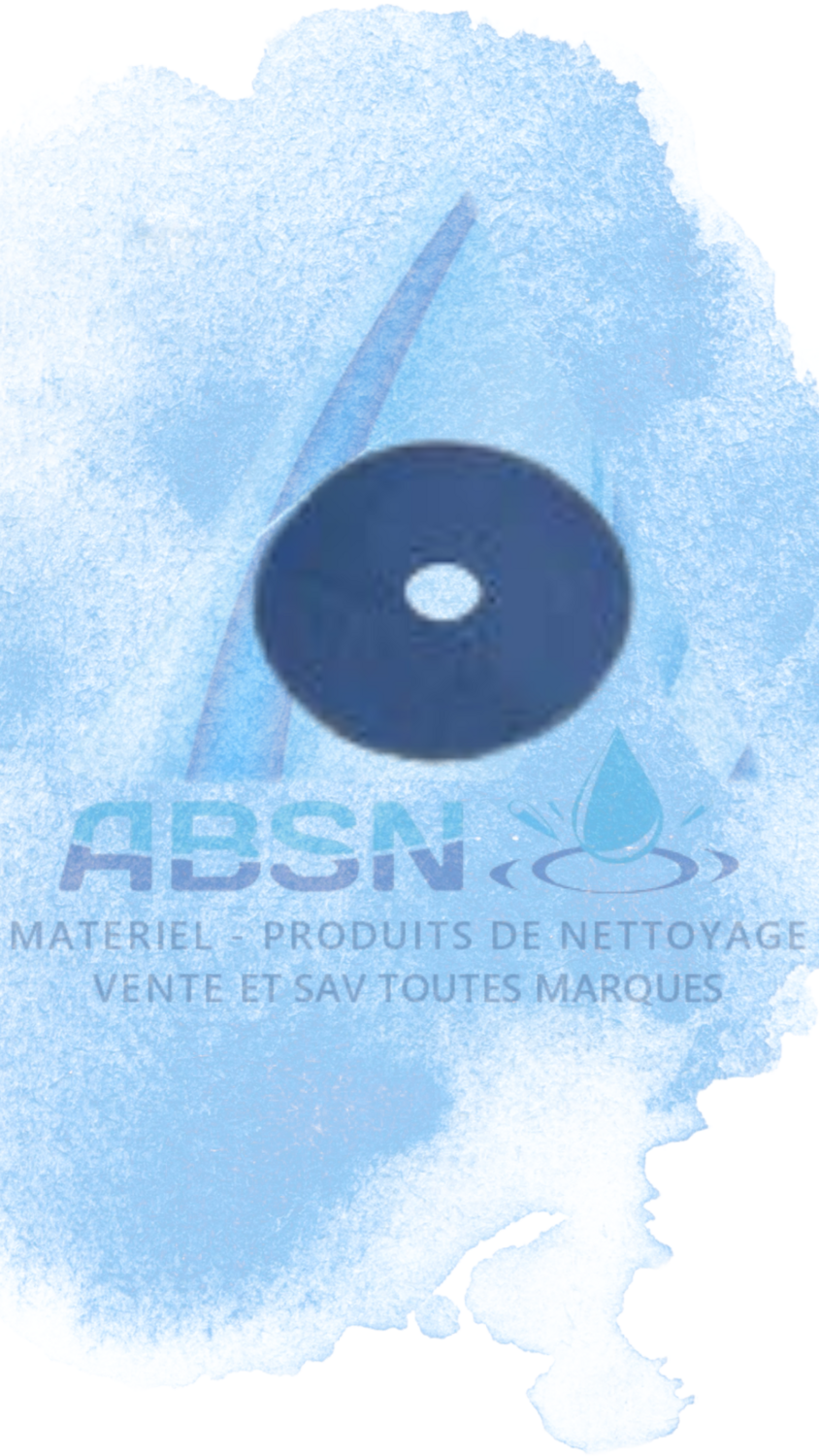 DISQUE BLEU -- 254mm -- 10 pouces -- Carton de 5 pièces