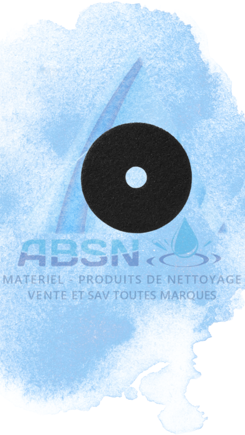 DISQUE NOIR -- 305mm -- 12 pouces -- Carton de 5