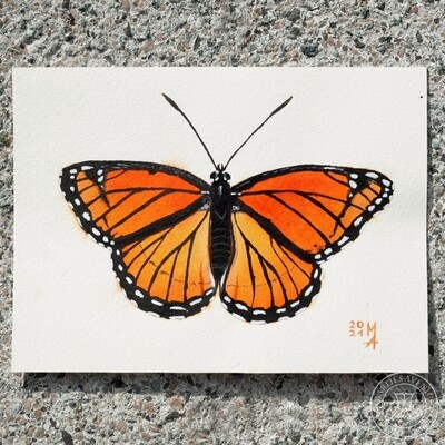 Watercolour painting „Monarch“, 11x15 cm | Original
