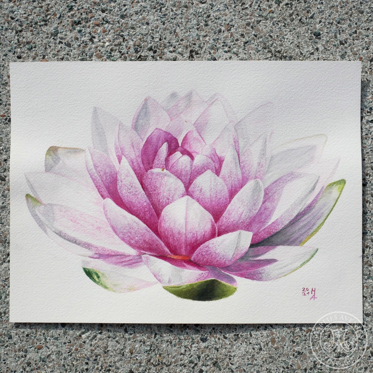 Aquarell „Seerose“, 23 x 29,7 cm | Original