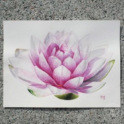 Aquarell „Seerose“, 23 x 29,7 cm | Original