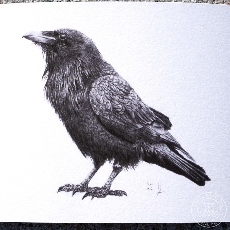 Giclée Print „Raven“, 20x15 cm