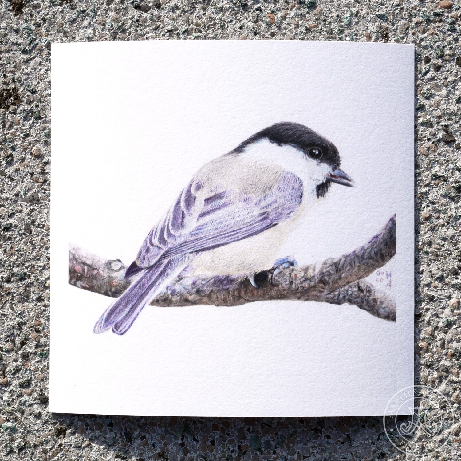 Giclée Print 15x15 cm „Sumpfmeise“