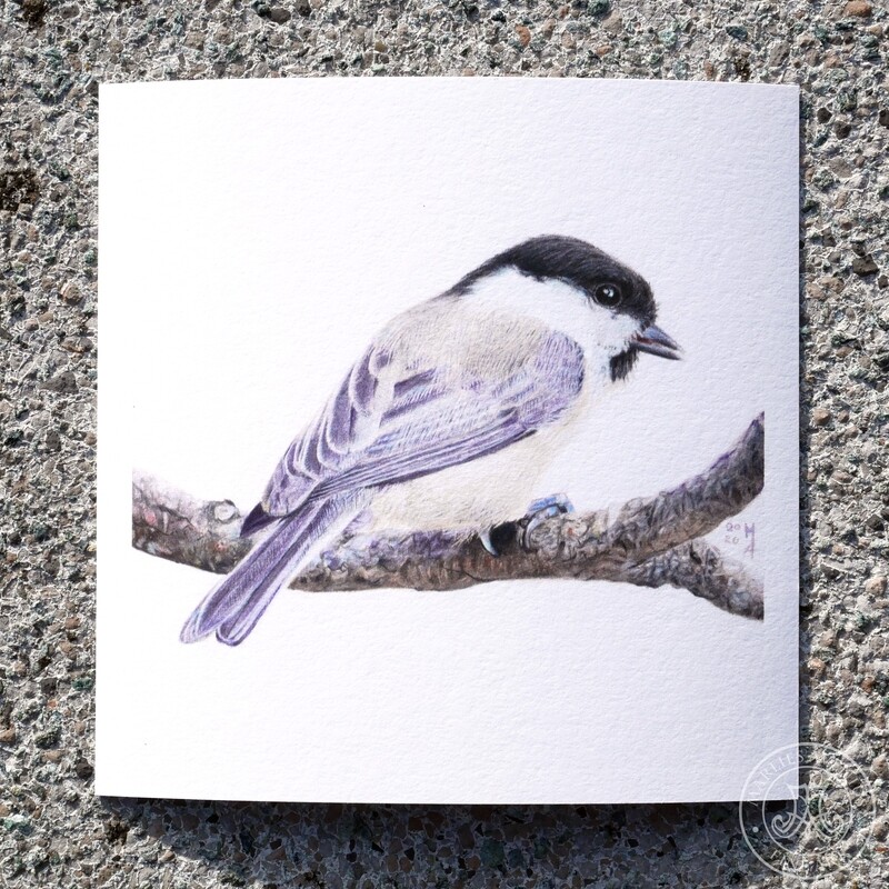 Giclée Print 15x15 cm „Chickadee“