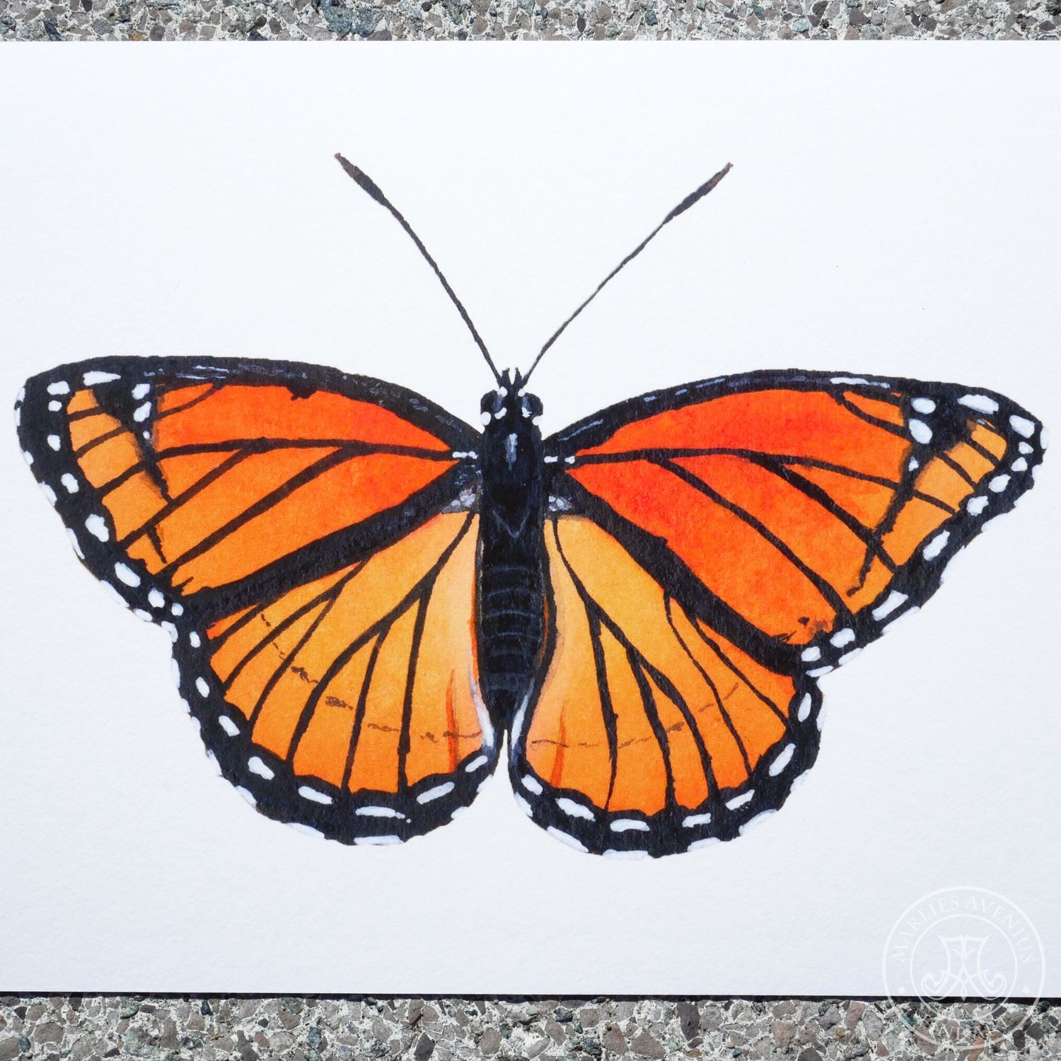 Giclée Print „Monarch“, 20x15 cm