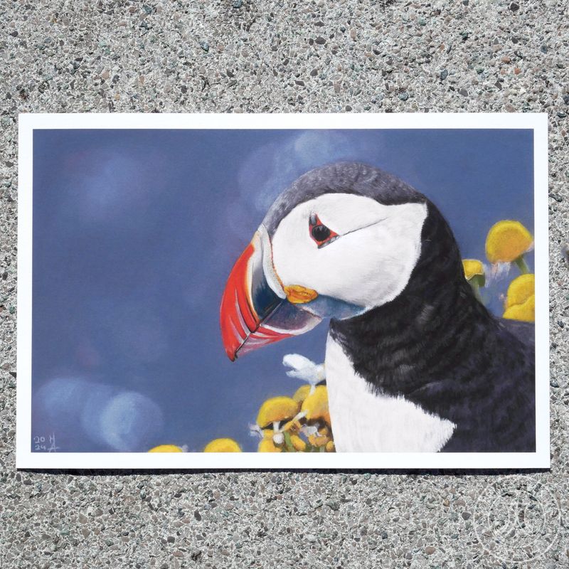 Giclée Print „Puffin“, 20x30 cm